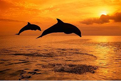 VR新作《捉鬼敢死队：幽灵之王》现已正式发售